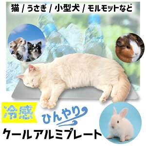 ひんやりアルミプレート（中） 小動物 用品 ひんやりグッズ クールマット 夏対策 冷たい エアコン 涼感 冷却 はりねずみ モルモット 30cm 20cm 小型 涼感プレート プレート うさぎ ケージ 暑さ対策 ひんやり マット ペット用品 ネコポス無料！