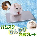 【楽天1位】ハムスター用冷却プレート 小 小動物 用品 ひんやりグッズ クールマット 夏対策 冷たい エアコン 涼感 冷却 はりねずみ モルモット 10cm 6cm 小型 涼感プレート プレート うさぎ ケ…