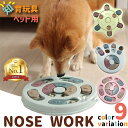 【楽天1位】ノーズワーク 星形 丸形 円形 ピンク ブルー グリーン プラスチック 知育 おもちゃ トイ 犬 猫 兼用 犬のパズル ゲーム し..