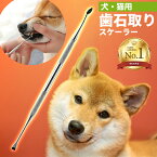 【楽天1位】ペット用 歯石取り 安全 口腔ケア 器具 スケーラー 犬用 猫用 犬 猫 ネコ 虫歯 虫歯予防 歯髄炎 歯磨き 歯周病 ヘルスケア デンタルケア デンタルヘルス ペットケア ペット用品 健康 おウチ時間 お家時間 虫歯痛み 老犬 老猫 定形外送料無料！