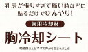 【メール便利用！送料無料】オオサキメディカル dacco胸冷却シート16枚入り(4枚入×4袋)(配送区分C) 2