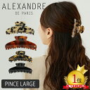 アレクサンドル ドゥ パリ ALEXANDRE DE PARIS タイムレス レス クラシック サンジェルマン パーンス ラージ ヘアアクセサリー ヘアアレンジ ハーフアップ グッズ TIMELESS LES CLASSIQUES SAINT GERMAIN PINCE LARGE クリップ ヘアクリップ 大きめ