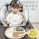 【期間限定2298→1980円～】【安心吸着、北欧スタイル】 シリコンプレート ベビー食器 吸盤付き ミールプレート パンプキンプレート ベビー ひっくり返らない お食事 離乳食 赤ちゃん 出産祝い 誕生日 ギフト くすみカラー ニュアンスカラー 北欧 お食いそめ 【メール便】 3