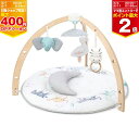 【最大400円OFFクーポン配布中】エイデンアンドアネイ play + discover activity gym【AAGM10001J】アクティビティジム 出...