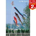 【マラソン期間ママ割でP2倍〜】江戸錦セット 五色吹流し【3m】杭打用セット(打込用杭付)【MHENZ30】ワタナベ鯉のぼり 錦鯉【※要エントリー】【9/19 20:00-9/24 01:59まで】|詳細画像