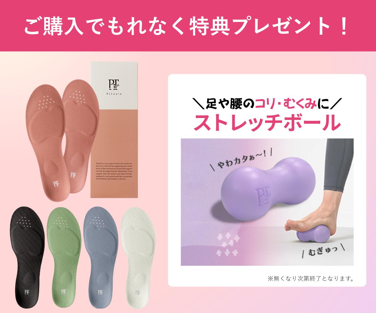 【10%OFFクーポン ~27日1:59まで】 ダイエット インソール ピットソール 【正規品】 中敷き 疲れない 脚痩せ 美脚 体幹 姿勢矯正 姿勢改善 骨盤サポート 脚トレ 足トレ 筋トレ 歩行姿勢 足裏 アーチ サポート 美姿勢 ぽっこりお腹 ふくらはぎ トレーニング pitsole BMZ 単品 2