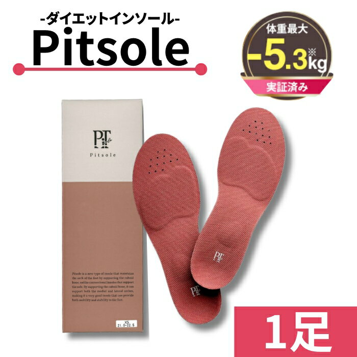 ＼楽天ランキング1位／世界特許取得技術採用 ダイエットインソール 【Pitsole　ピットソール】送料無料 ダイエットシューズ ダイエットソール 健康シューズ 中敷き 姿勢改善 骨格筋 量UP 履いて歩くだけ