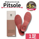 ＼楽天ランキング1位／世界特許取得技術採用 ダイエットインソール 【Pitsol