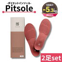 9/1ポイント5倍！【6％OFF2足SET】 Pitsole ピットソール 世界特許取得技術採用 ダイエットインソール 送料無料 ダイエットシューズ ダイエットソール 健康シューズ 中敷き 姿勢改善 骨格筋 骨格筋量UP 履いて歩くだけ 下半身太り