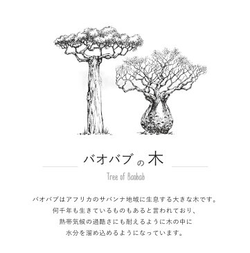 キャリアオイル 妊婦さんにも安心 arbol（アルボル）Carrier Oil 30ml 日焼け後のお手入れ 保湿 国内製造 トリートメント 乾燥対策 バオバブ baobab 代謝促進 美容 美髪 アンチエイジング 抗酸化 エイジングケア フェイスオイル キャリアオイル ヘアオイル ボディケア