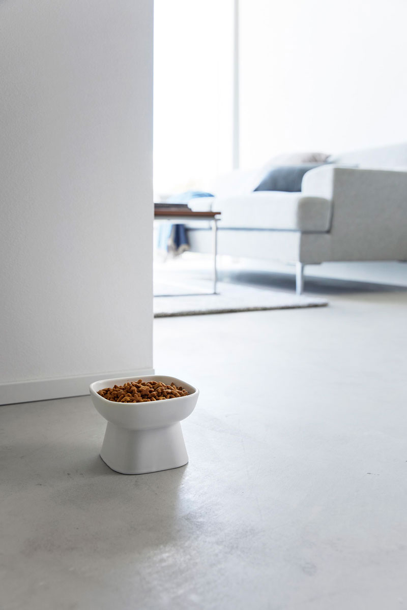 �ڥåȥա��ɥܥ��� ����¶� ������ nooks �̡����� ���٤䤹���⤵ƫ��ڥåȥա��ɥܥ��� ƫ�����������䤹����¤ ǭ�� ���� �ͥ� ���� �Żҥ�� �������б� �ڥåȥա����ƴ� �ڥåȥա������� �ۥ磻��