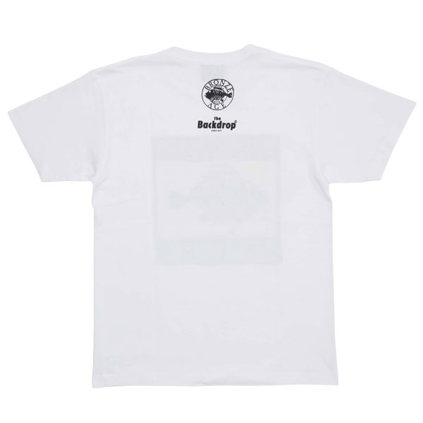 【BACKDROP x BRONZE AGE】(バックドロップ別注) FISH LOGO S/S TEE RASTA / フィッシュロゴ 半袖Tシャツ ラスタカラー (レッド/グリーン) 渋谷 バックドロップ the back drop アメカジ定番 サーフ スケート オールドスクール [ネコポス対応] 2