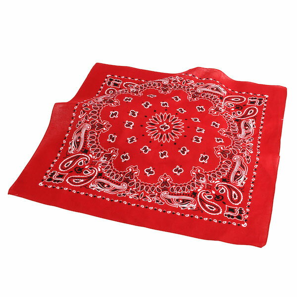 【ROTHCO】(ロスコ) PAISLEY BANDANA (4142) / ペイズリー バンダナ (レッド) バックドロップ 老舗アメカジショップ the back drop ミリタリー 大判 アウトドア [ネコポス対応]