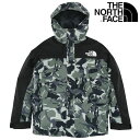 【THE NORTH FACE】(ノースフェイス) NOVELTY MT LIGHT JACKET NP62135 / ノベルティ マウンテン ライトジャケット (AX) バックドロップ 老舗アメカジショップ the back drop タウンユース ゴアテックス GORE-TEX