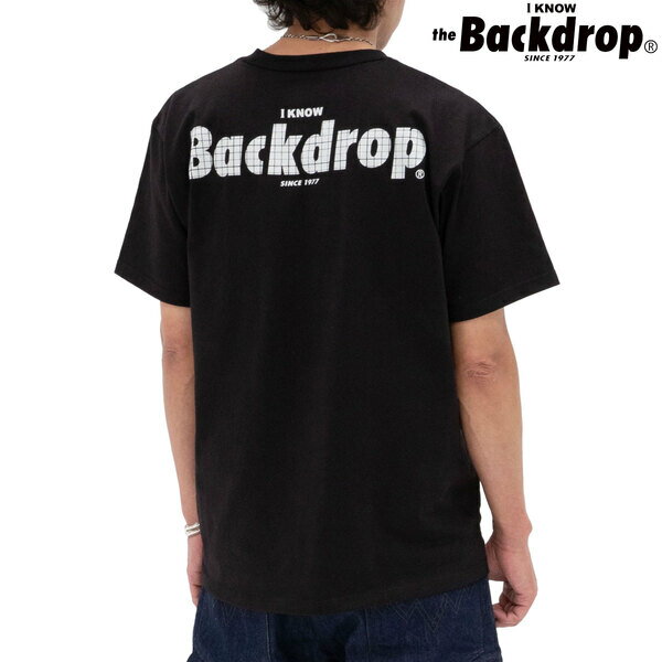 【BACKDROP】(バックドロップ) BACK PRINT TEE -I Know Backdrop Wire Design- / バックプリントTシャツ アメカジ tシャツ メンズ バックドロップロゴ 半袖 tシャツ ブラック 渋谷バックドロップ 大きいサイズ アメリカ製tシャツ オシャレ かっこいい [ネコポス対応]