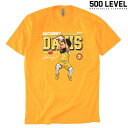 【500 LEVEL】(500レベル) Anthony Davis CARTOON TEE / アンソニー デイビス カートゥーン Tシャツ (ゴールド) バックドロップ 老舗ア..