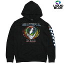 (リキッドブルー) GRATEFUL DEAD OPTIC SYF SLEEVE PRINTED HOODIE / グレイトフルデッド 袖プリント POパーカー (ブラック) バックドロップ 老舗アメカジショップ the back drop 70s ヒッピー カウンターカルチャー バンド