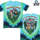 (リキッドブルー) CHEECH AND CHONG FIELDOF DREAMS TIE-DYE TEE / チーチ＆チョン フィールドオブドリーム タイダイ 半袖Tシャツ (タイダイ) バックドロップ 老舗アメカジショップ the back drop 70s ヒッピー カウンターカルチャー バンド 