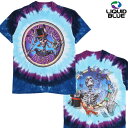 (リキッドブルー) GRATEFUL DEAD QUEEN OF SPADES TIE-DYE TEE / グレイトフルデッド クイーンオブスペード タイダイ 半袖Tシャツ (タイダイ) バックドロップ 老舗アメカジショップ the back drop 70s ヒッピー カウンターカルチャー バンド 