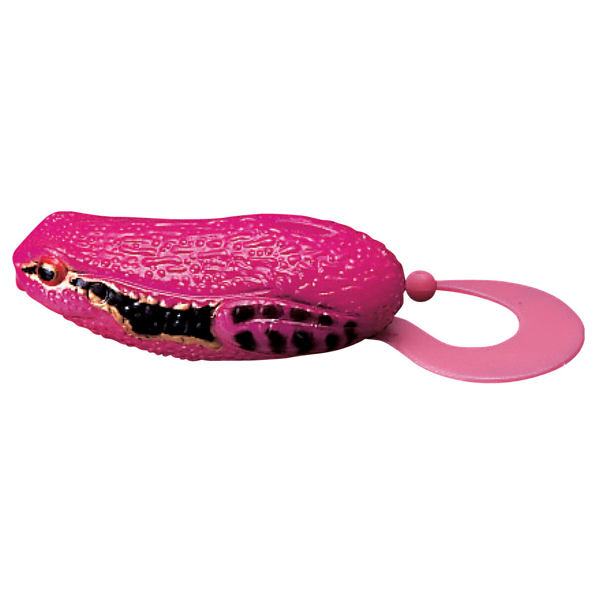 スミス デントス ピンクヒキガエル 03