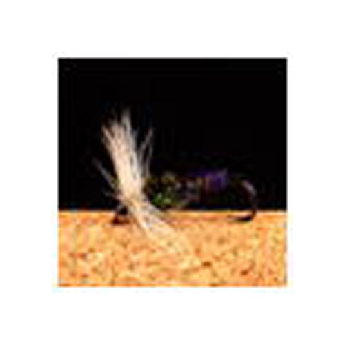 VAN FOOK TM-03 孔雀 3本入 テンカラマスター #14