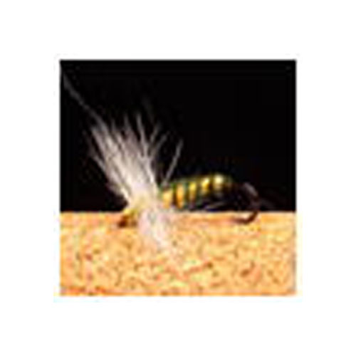 VAN FOOK TM-05 金時 3本入 テンカラマスター #14