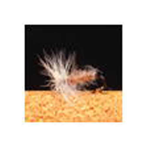 VAN FOOK TM-06 千鳥 3本入 テンカラマスター #14