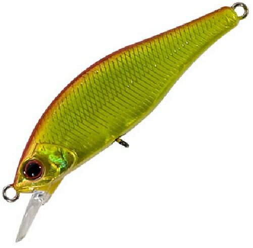 パームス アレキサンドラ63Sアバロンサマービートル