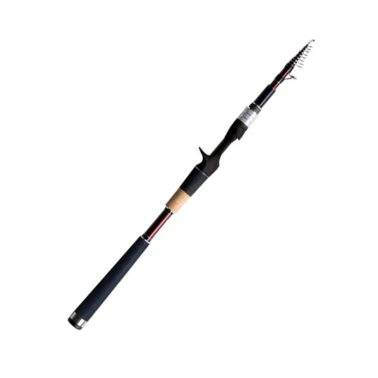 フィッシュマン　ビームス　エクスパン　FBX-710LHTS　 FISHMAN