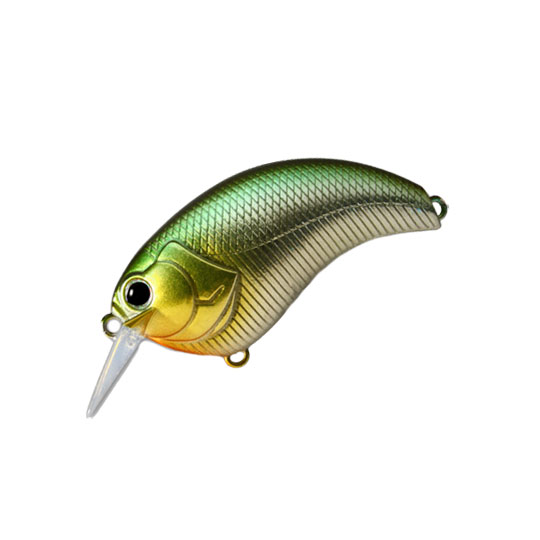 デプス　イヴォーク　1.8　deps EVOKEのサムネイル