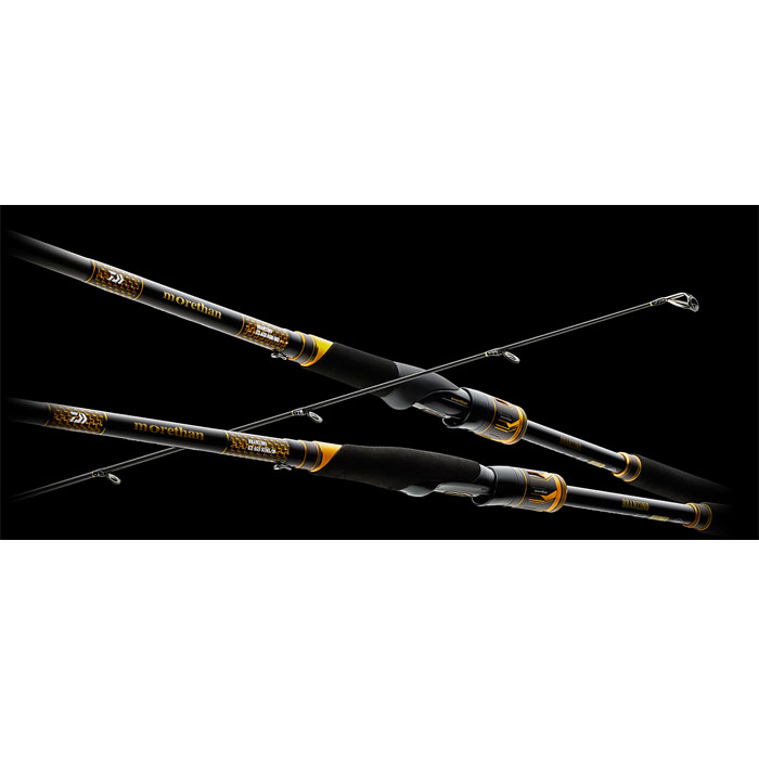 ダイワ　モアザン　ブランジーノEX　AGS　1010ML/M　DAIWA　morethan BRANZINO EX　 2枚目