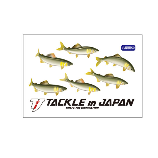 タックルインジャパン ハード転写ステッカー 鮎 右岸側50 TACKLE in JAPAN
