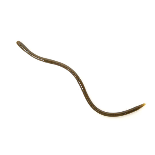 【全5色】ベイトブレス U30 ヴェイン 8inch サイトスペシャル 極カラー Bait Breath