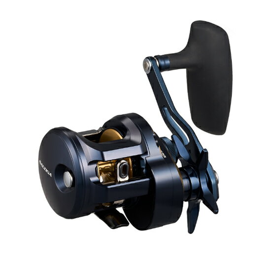 DAIWA - ダイワ　25 ソルティガ 300L