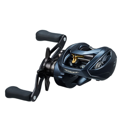 ダイワ22スティーズA2TW100...