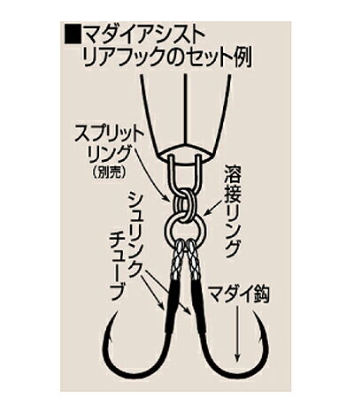 【メール便可】SHOUT/シャウト マダイアシ...の紹介画像3