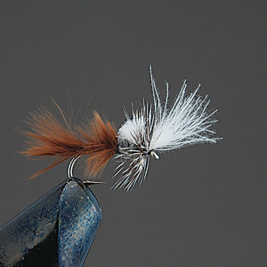 Х졼ҥ롡ʥɥ饤ե饤D23 CDCåץValleyhillCOMPLETE FLY
