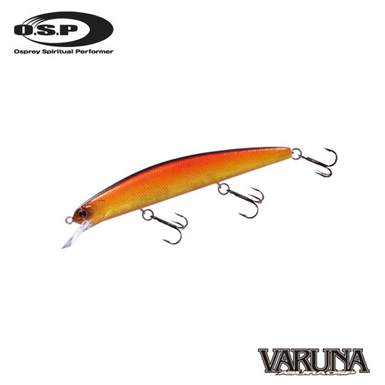 ԡ110ڥOSPVARUNA110SP2