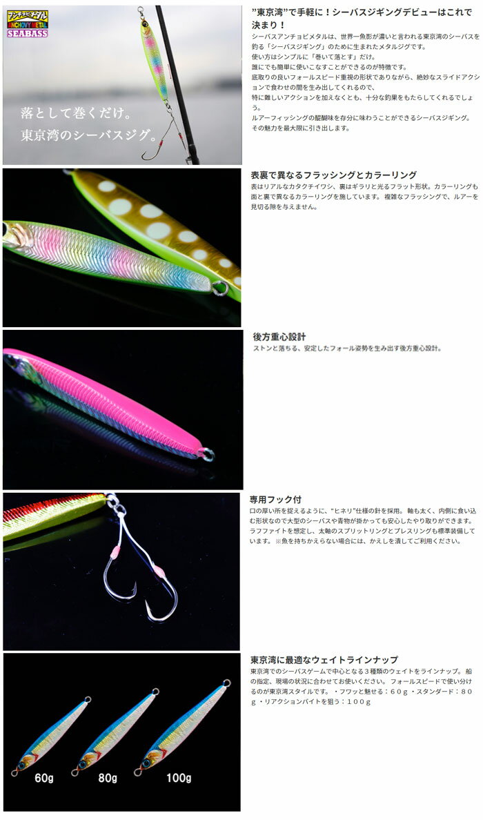 シーバスアンチョビメタル 100g ブルピン (3)