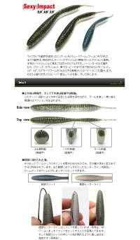 ケイテックセクシーインパクト4.8インチKEITECHSEXYINPACT4.8inch【メール便可】