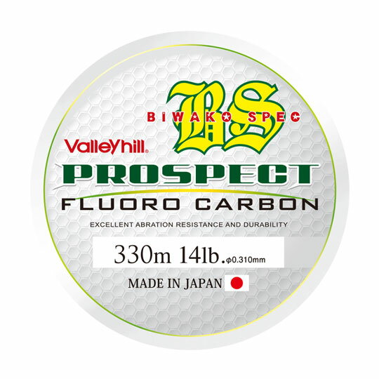 バレーヒル　プロスペクト　琵琶湖スペック　フロロ　14lb　ValleyHill　PROSPECT　