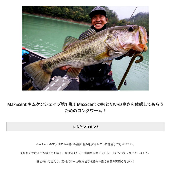 バークレイ マックスセント パワーワグ 9in...の紹介画像3