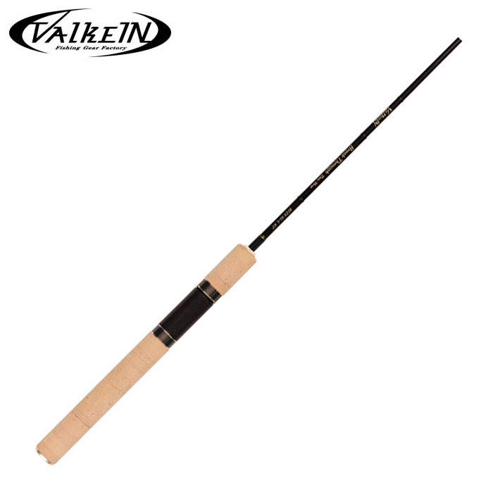 ヴァルケイン　ブレイクスルーゼロヴァージ　ファーストエディション　6.1L　ValkeIN