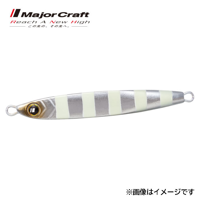 タチジギ道場 スタンダードタイプ 180g ゼブラグロー (2)