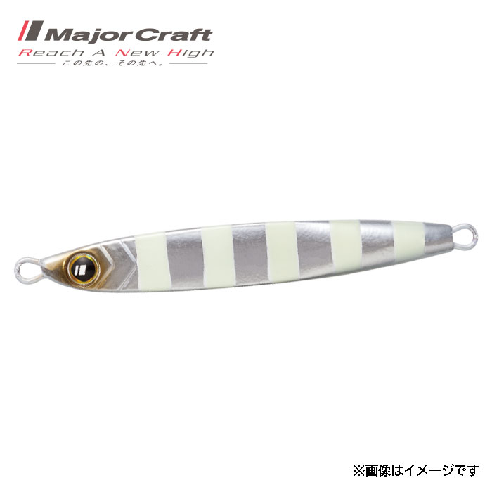 タチジギ道場 スローフォールタイプ 100g ゼブラグロー (2)