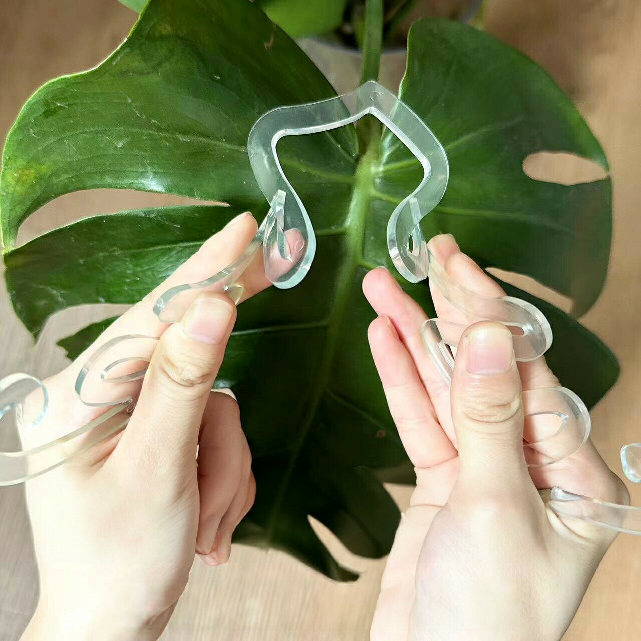 トレリス 植物支柱 園芸支柱 つる性植物用 単品 1個 植物 花 園芸 ガーデニング用...