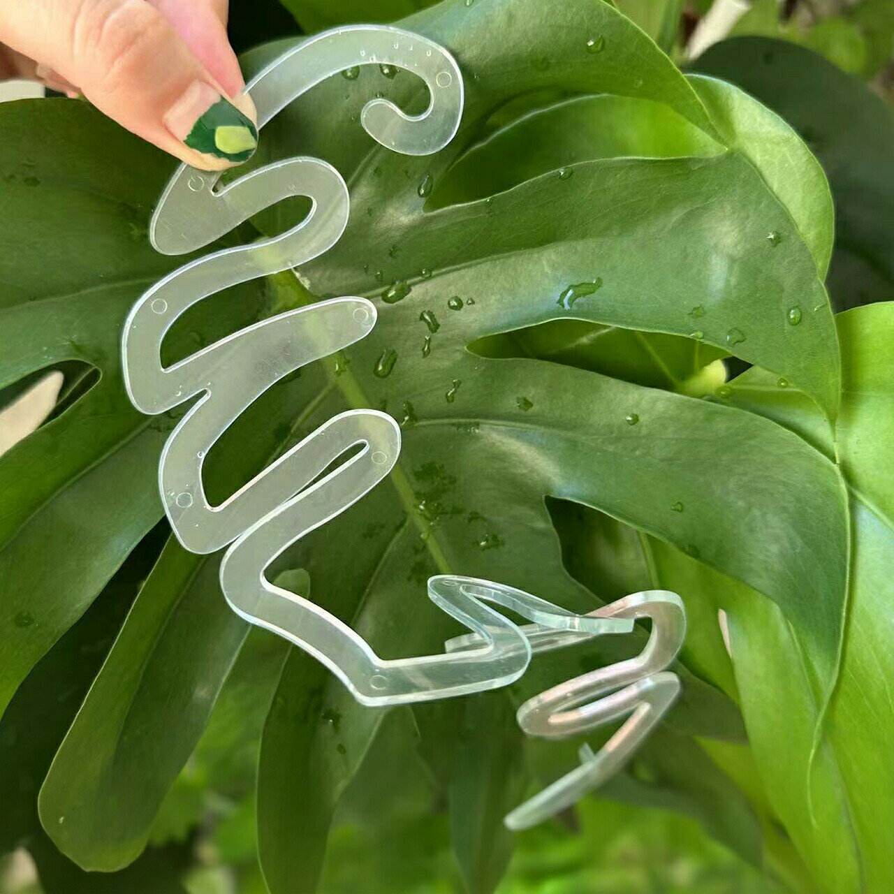 トレリス 植物支柱 園芸支柱 つる性植物用 単品 1個 植物 花 園芸 ガーデニング用...
