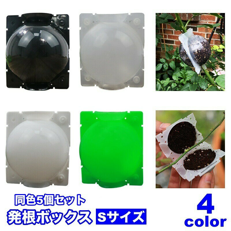 楽天市場】木育セットの通販