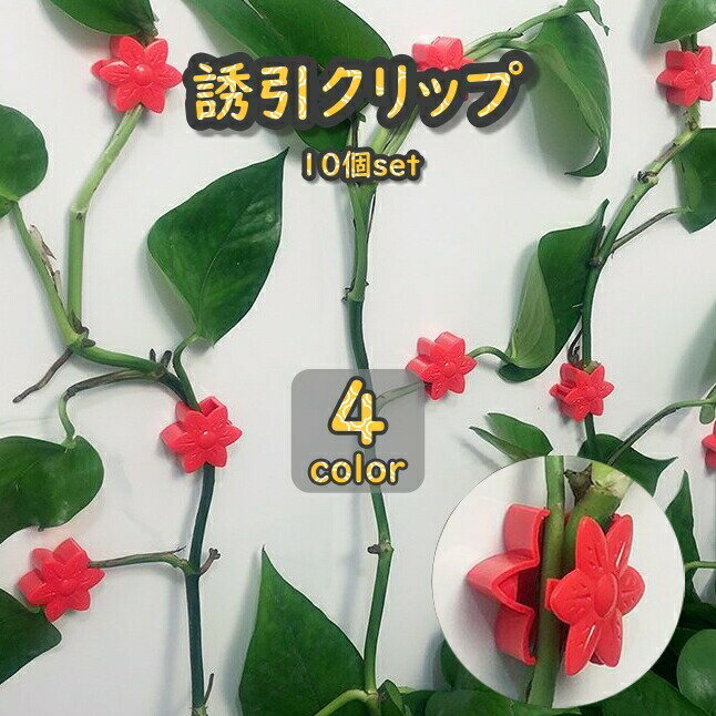 可愛いフラワー型の誘引クリップ同色10個セットです。両面テープで壁に固定ができるので、ツルが多い植物などに最適◎ 植物だけでなく配線をまとめたり、インテリアとしてもお洒落♪ 【サイズについて】画像をご参照ください。 【カラーについて】生産ロットにより柄の出方や色の濃淡が異なる場合がございます。お使いのモニターや撮影時の光の加減などにより画像と実際の商品のカラーが異なる場合もございます。予告なしにカラーやデザインなどの変更がある場合もございます。 【素材について】ABS