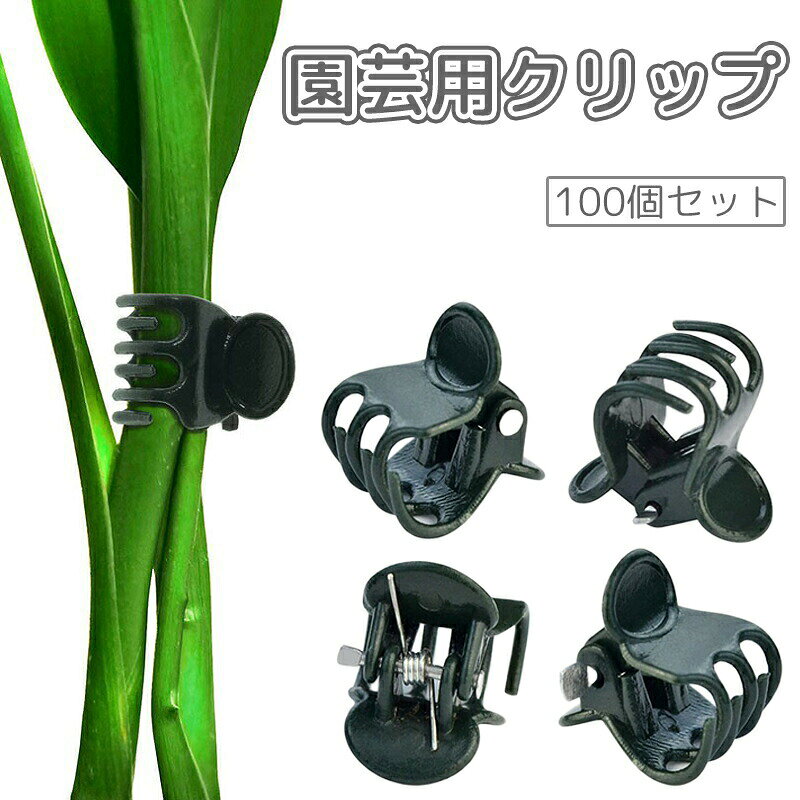 植物の成長をサポートする園芸用クリップ、100個セットです。高さが出る植物やツルを伸ばす植物をクリップで支柱に留めることで成長途中で折れるリスクを軽減できます。 【サイズについて】画像をご参照ください。 【カラーについて】生産ロットにより柄の出方や色の濃淡が異なる場合がございます。お使いのモニターや撮影時の光の加減などにより画像と実際の商品のカラーが異なる場合もございます。予告なしにカラーやデザインなどの変更がある場合もございます。 【素材について】プラスチック